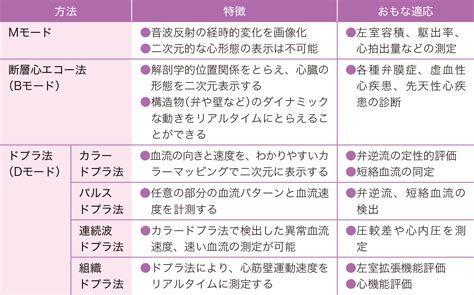 心エコー検査の看護｜目的、種類、検査結果の見方な .